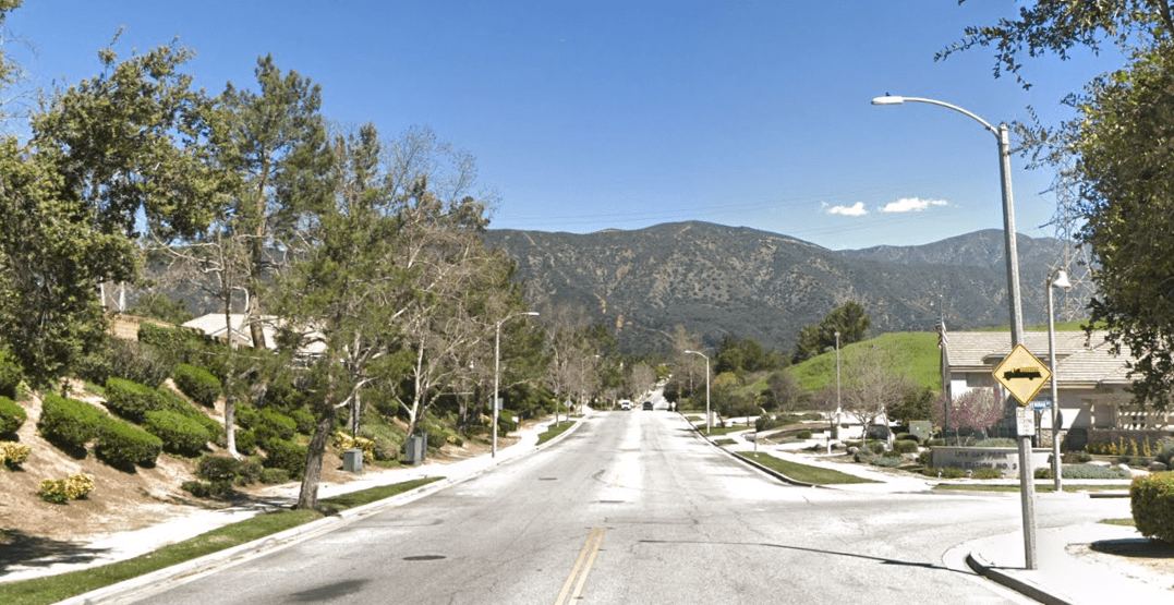 A photo aiming down a sunny two-way street near a neighborhood entrance – both cobrahead and bell streetlight fixtures are in view.